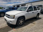 2006 Chevrolet Trailblazer Ls White vin: 1GNDT13S562184853