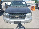 2006 Chevrolet Trailblazer Lt Серый vin: 1GNDT13S562295385