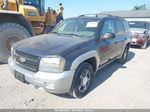 2006 Chevrolet Trailblazer Lt Серый vin: 1GNDT13S562295385