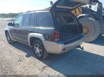 2006 Chevrolet Trailblazer Lt Серый vin: 1GNDT13S562295385