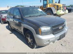 2006 Chevrolet Trailblazer Lt Серый vin: 1GNDT13S562295385