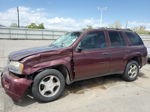 2006 Chevrolet Trailblazer Ls Maroon vin: 1GNDT13S562314274