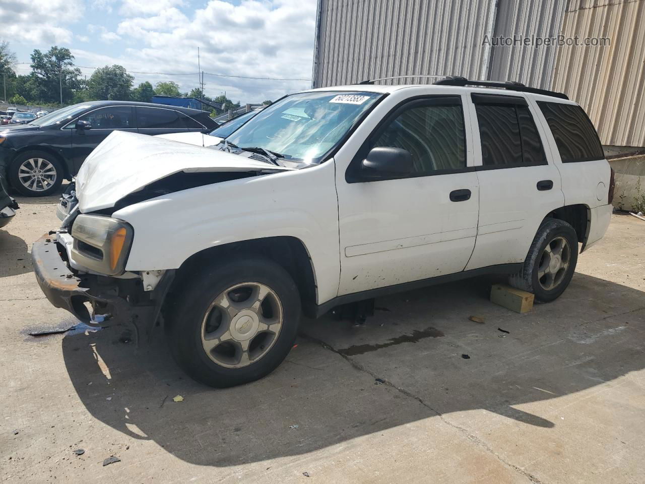 2006 Chevrolet Trailblazer Ls White vin: 1GNDT13S562336792