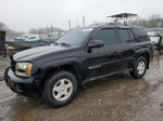 2002 Chevrolet Trailblazer  Black vin: 1GNDT13S622276046