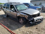 2002 Chevrolet Trailblazer  Бежевый vin: 1GNDT13S622304931