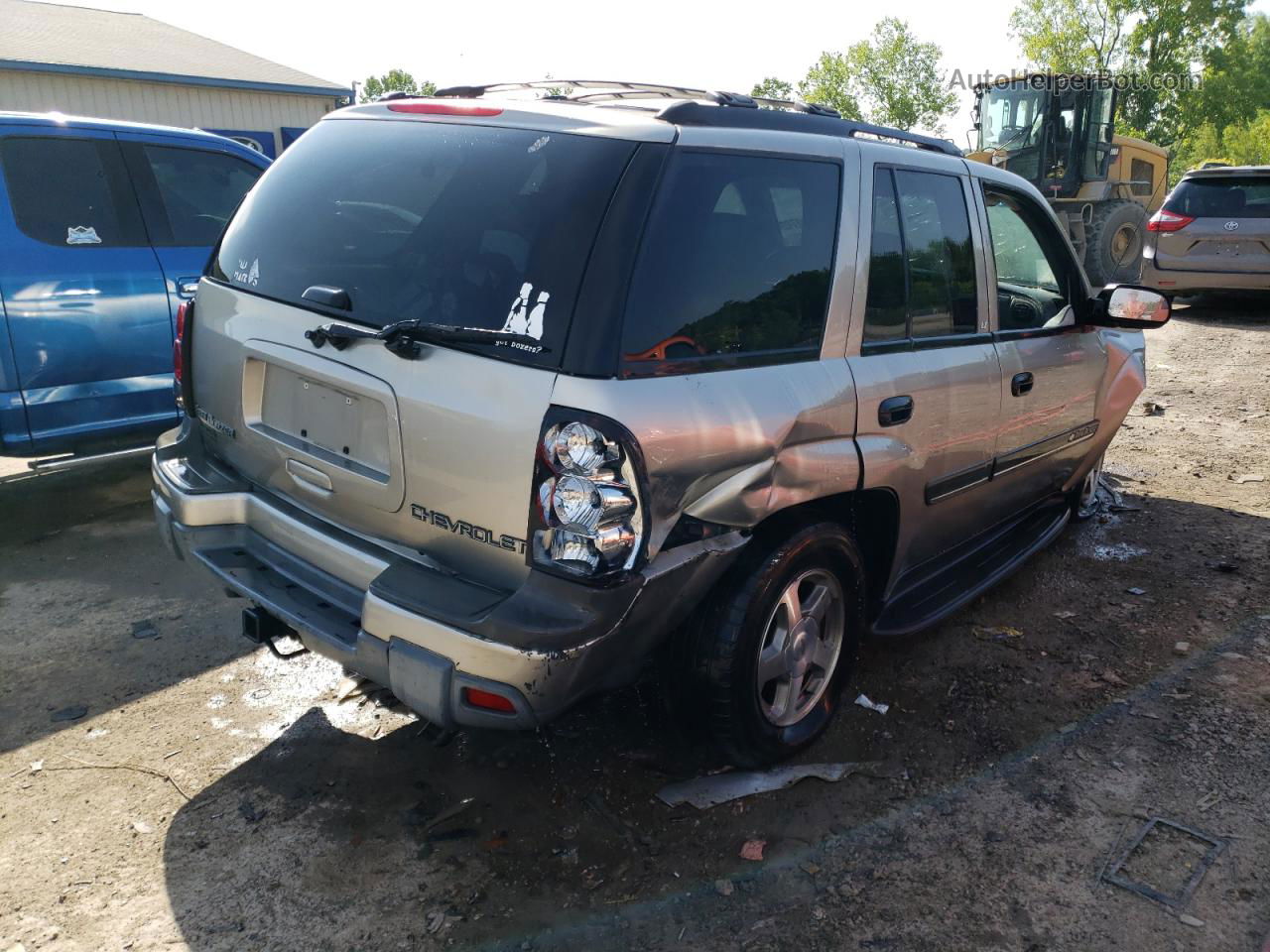 2002 Chevrolet Trailblazer  Бежевый vin: 1GNDT13S622304931