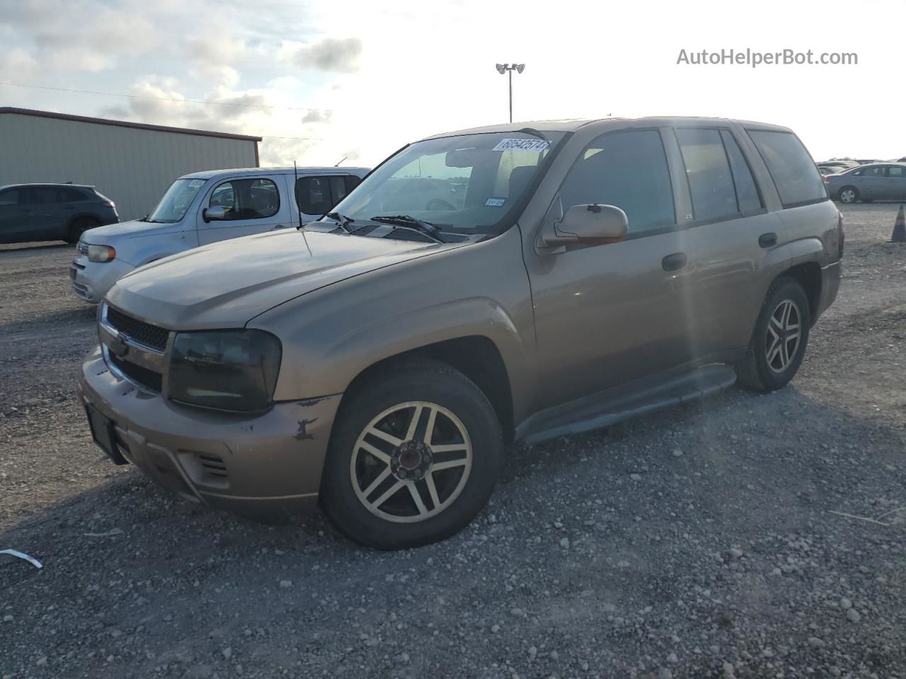 2002 Chevrolet Trailblazer  Коричневый vin: 1GNDT13S622331403