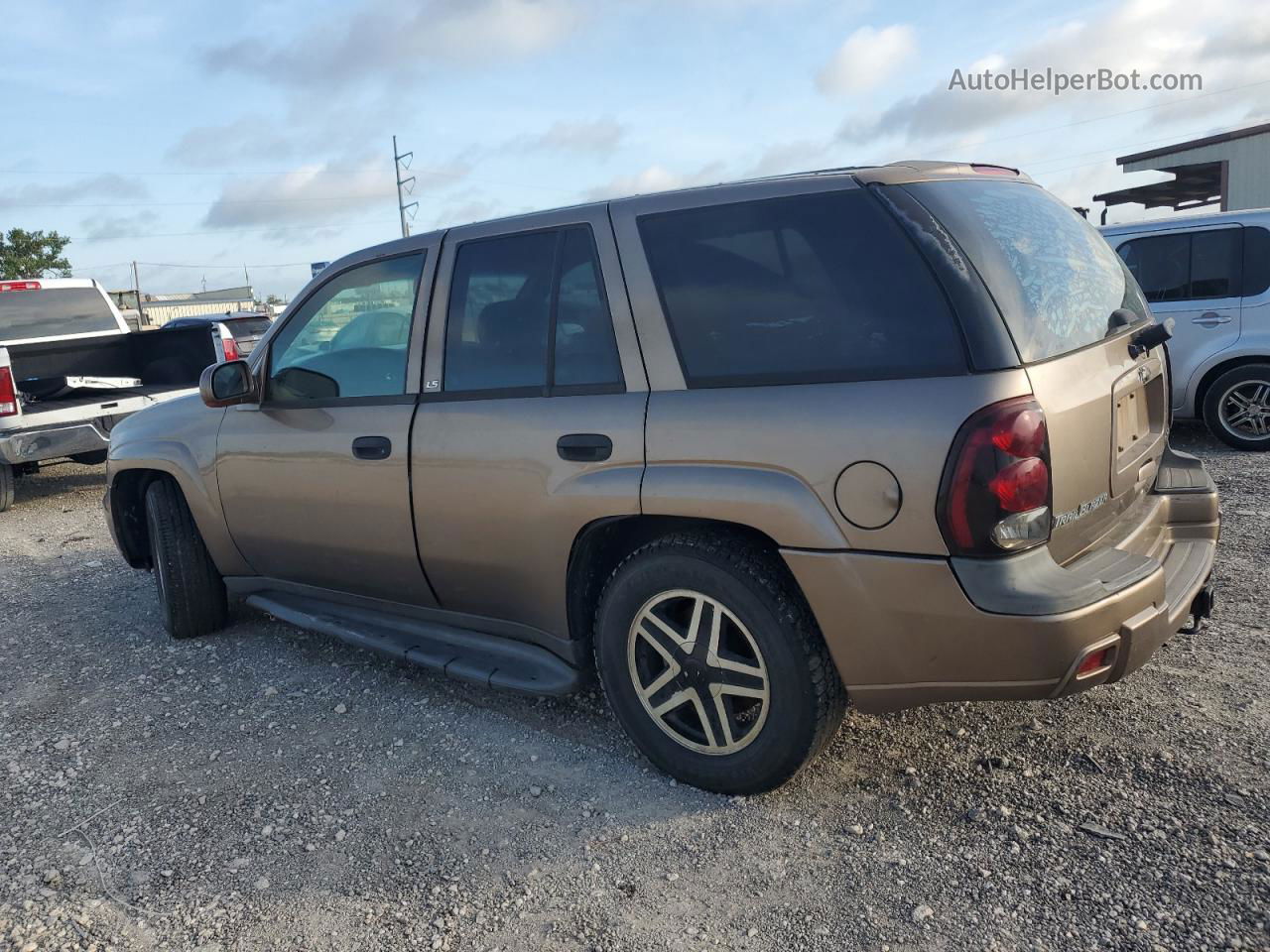 2002 Chevrolet Trailblazer  Коричневый vin: 1GNDT13S622331403