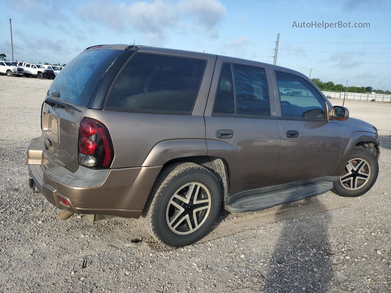 2002 Chevrolet Trailblazer  Brown vin: 1GNDT13S622331403