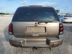 2002 Chevrolet Trailblazer  Brown vin: 1GNDT13S622331403