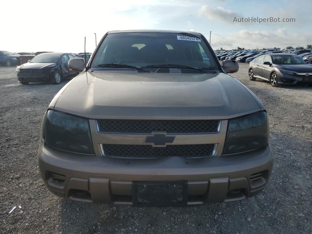 2002 Chevrolet Trailblazer  Brown vin: 1GNDT13S622331403