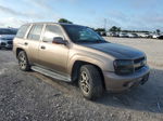 2002 Chevrolet Trailblazer  Brown vin: 1GNDT13S622331403