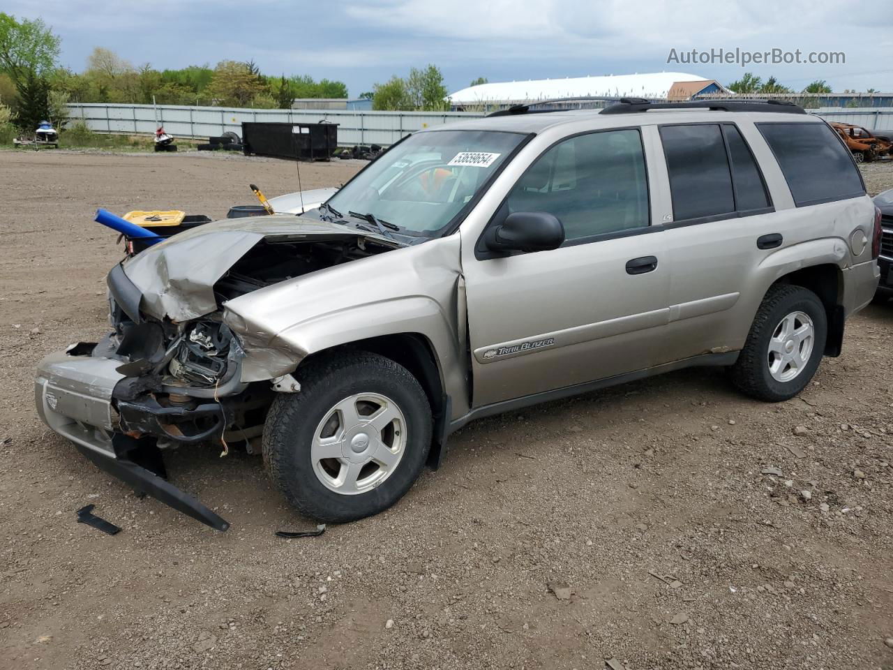 2002 Chevrolet Trailblazer  Beige vin: 1GNDT13S622365759