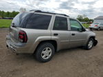 2002 Chevrolet Trailblazer  Beige vin: 1GNDT13S622365759