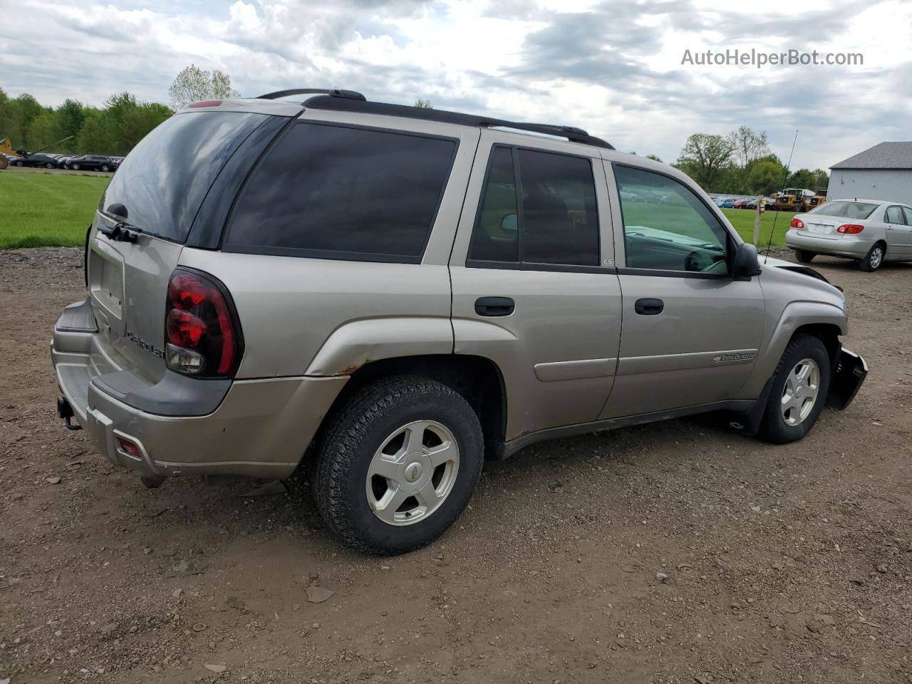 2002 Chevrolet Trailblazer  Beige vin: 1GNDT13S622365759