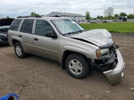 2002 Chevrolet Trailblazer  Beige vin: 1GNDT13S622365759