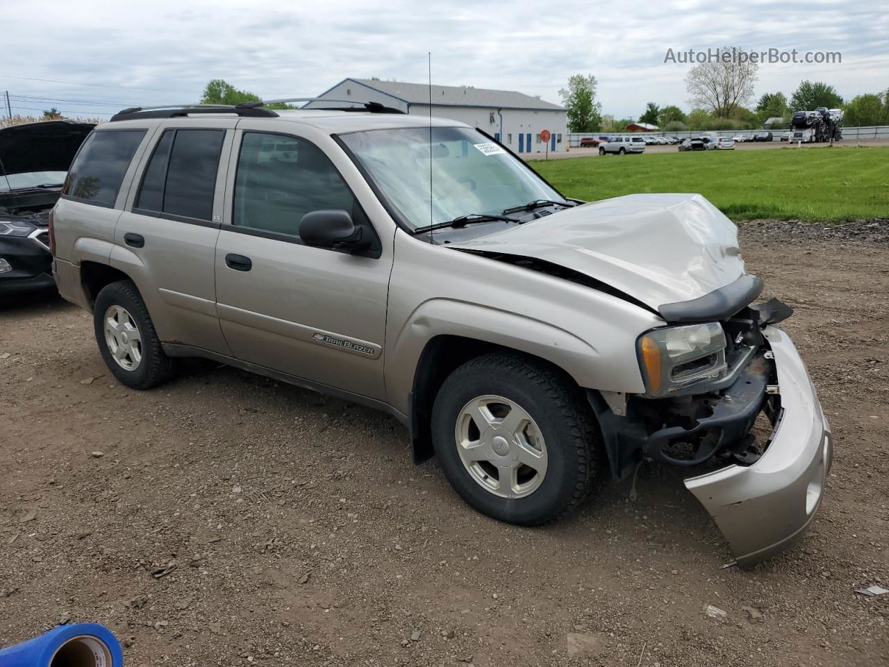 2002 Chevrolet Trailblazer  Beige vin: 1GNDT13S622365759