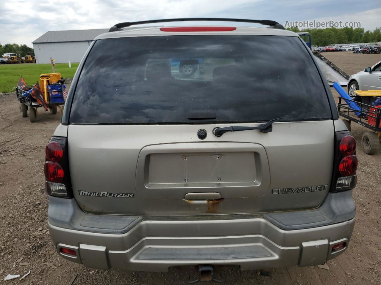 2002 Chevrolet Trailblazer  Beige vin: 1GNDT13S622365759