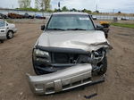 2002 Chevrolet Trailblazer  Beige vin: 1GNDT13S622365759