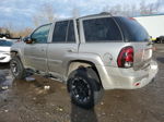 2002 Chevrolet Trailblazer  Silver vin: 1GNDT13S622413535