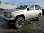 2002 Chevrolet Trailblazer  Silver vin: 1GNDT13S622413535