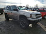 2002 Chevrolet Trailblazer  Silver vin: 1GNDT13S622413535