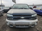 2002 Chevrolet Trailblazer  Black vin: 1GNDT13S622471032