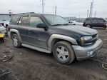 2002 Chevrolet Trailblazer  Черный vin: 1GNDT13S622471032