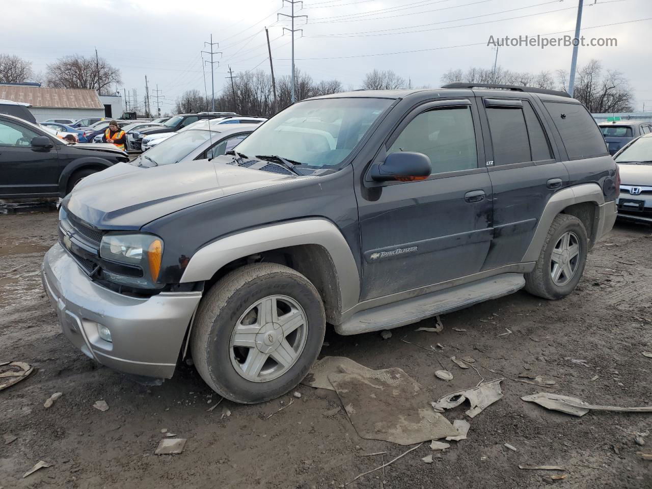 2002 Chevrolet Trailblazer  Черный vin: 1GNDT13S622471032