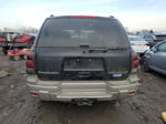 2002 Chevrolet Trailblazer  Black vin: 1GNDT13S622471032