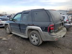 2002 Chevrolet Trailblazer  Черный vin: 1GNDT13S622471032