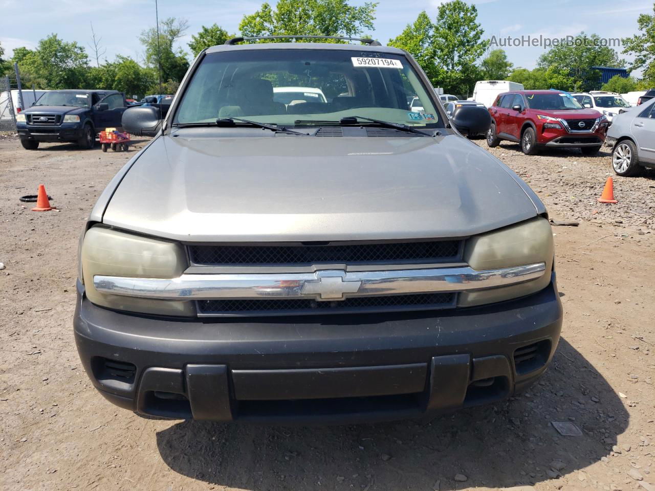 2002 Chevrolet Trailblazer  Серый vin: 1GNDT13S622498568