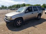 2002 Chevrolet Trailblazer  Серый vin: 1GNDT13S622498568