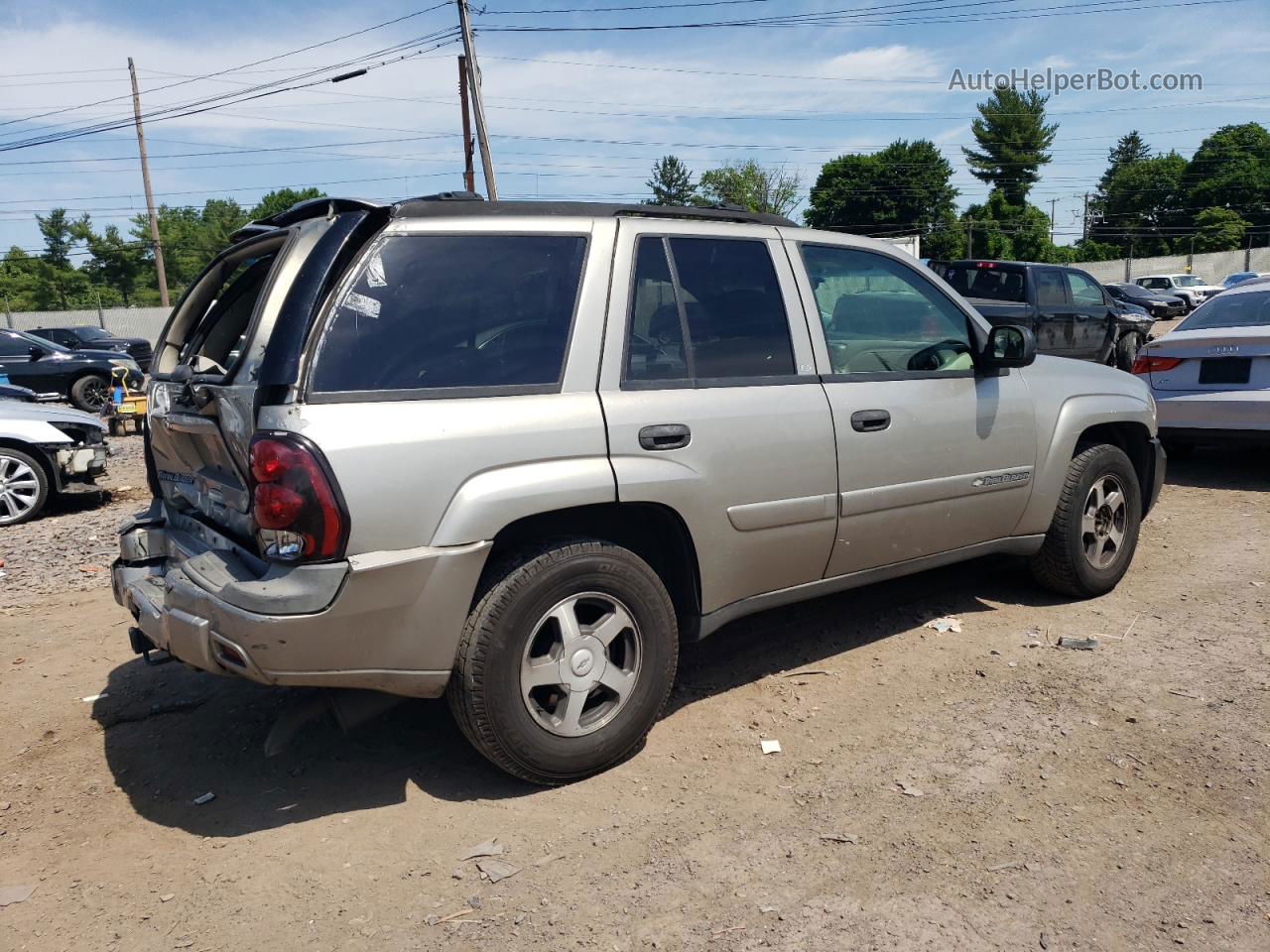 2002 Chevrolet Trailblazer  Серый vin: 1GNDT13S622498568