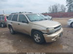 2006 Chevrolet Trailblazer Ls Tan vin: 1GNDT13S662108543