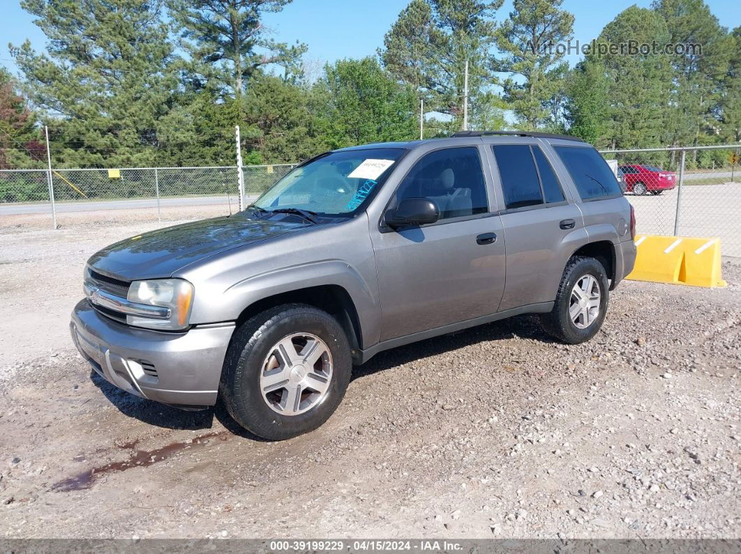 2006 Chevrolet Trailblazer Ls Gold vin: 1GNDT13S662284797