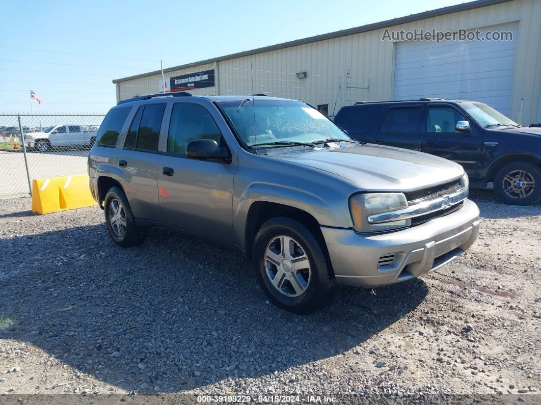 2006 Chevrolet Trailblazer Ls Gold vin: 1GNDT13S662284797