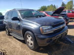 2006 Chevrolet Trailblazer Ls Gray vin: 1GNDT13S662313649