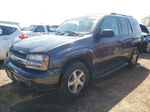 2006 Chevrolet Trailblazer Ls Gray vin: 1GNDT13S662313649