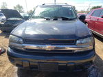 2006 Chevrolet Trailblazer Ls Gray vin: 1GNDT13S662313649