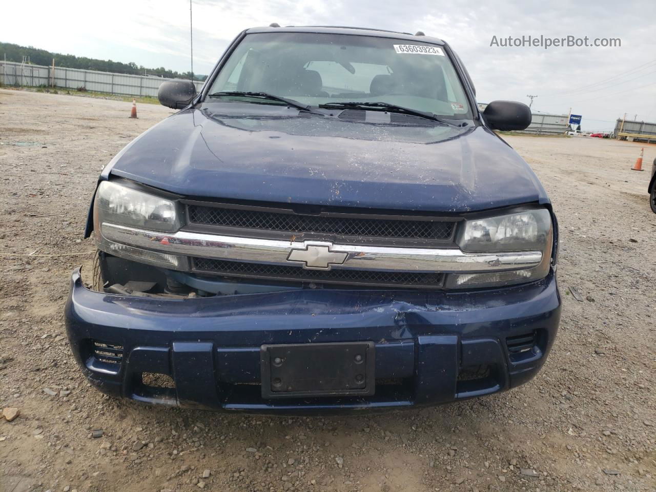 2002 Chevrolet Trailblazer  Синий vin: 1GNDT13S722260583