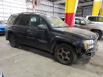 2002 Chevrolet Trailblazer  Черный vin: 1GNDT13S722388905