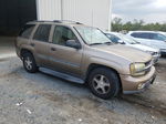 2002 Chevrolet Trailblazer  Gold vin: 1GNDT13S722428304