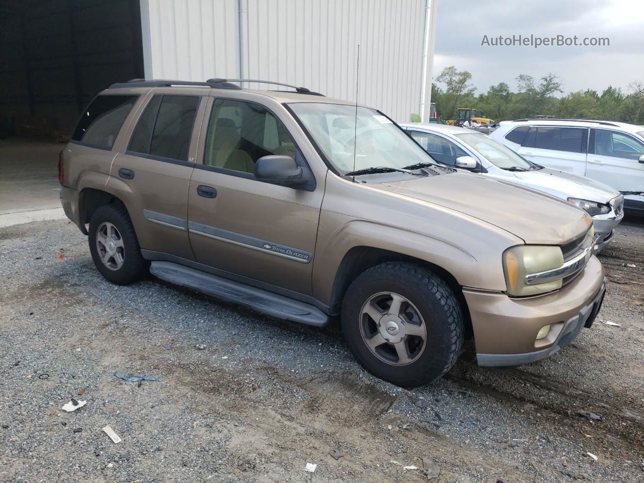 2002 Chevrolet Trailblazer  Золотой vin: 1GNDT13S722428304