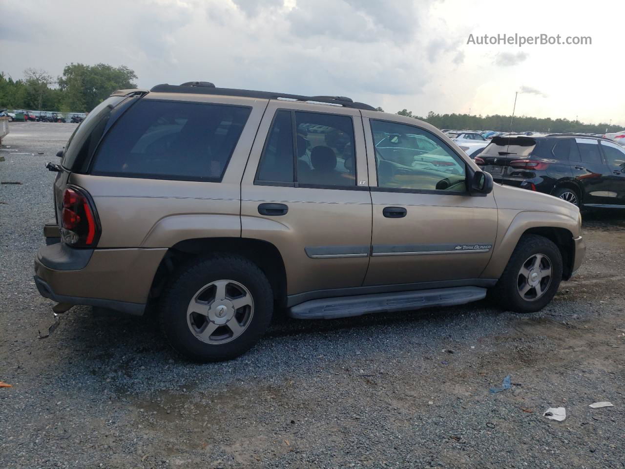 2002 Chevrolet Trailblazer  Золотой vin: 1GNDT13S722428304