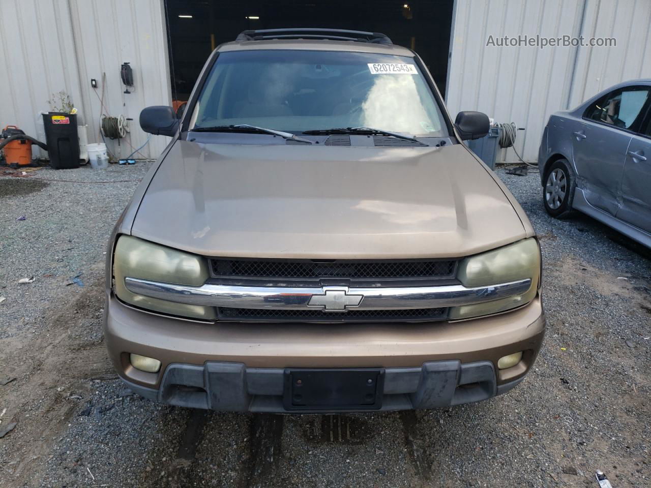 2002 Chevrolet Trailblazer  Gold vin: 1GNDT13S722428304