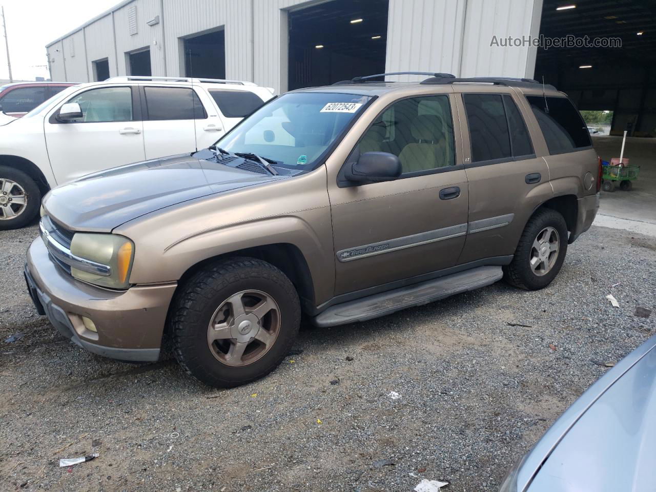 2002 Chevrolet Trailblazer  Gold vin: 1GNDT13S722428304