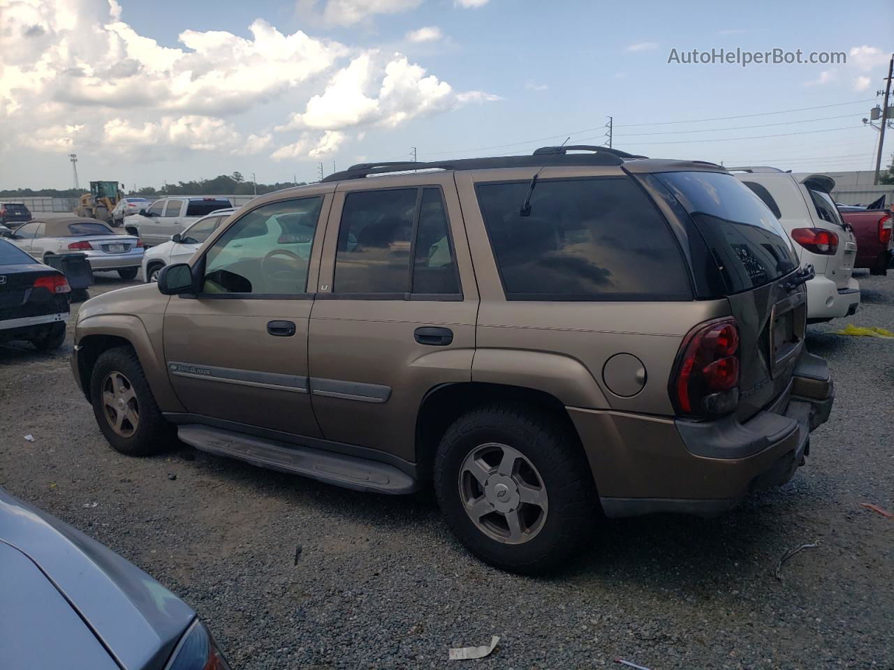 2002 Chevrolet Trailblazer  Золотой vin: 1GNDT13S722428304