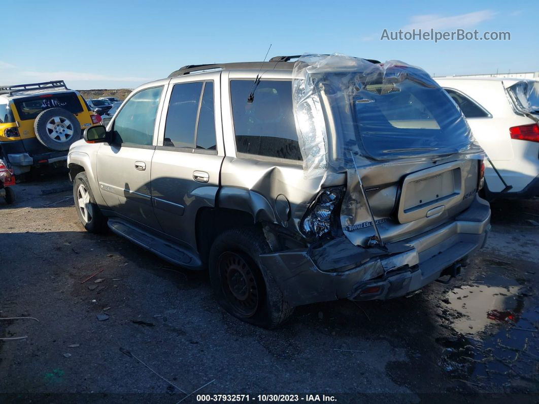 2002 Chevrolet Trailblazer Ltz Золотой vin: 1GNDT13S722467541