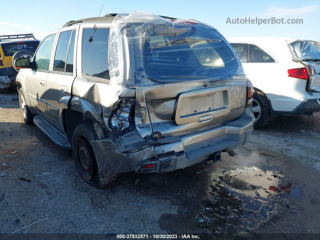 2002 Chevrolet Trailblazer Ltz Золотой vin: 1GNDT13S722467541